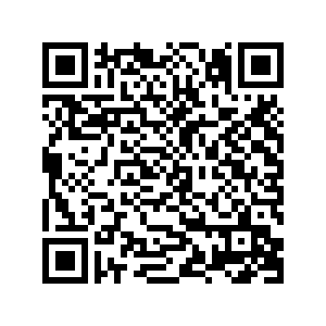 详情支付二维码